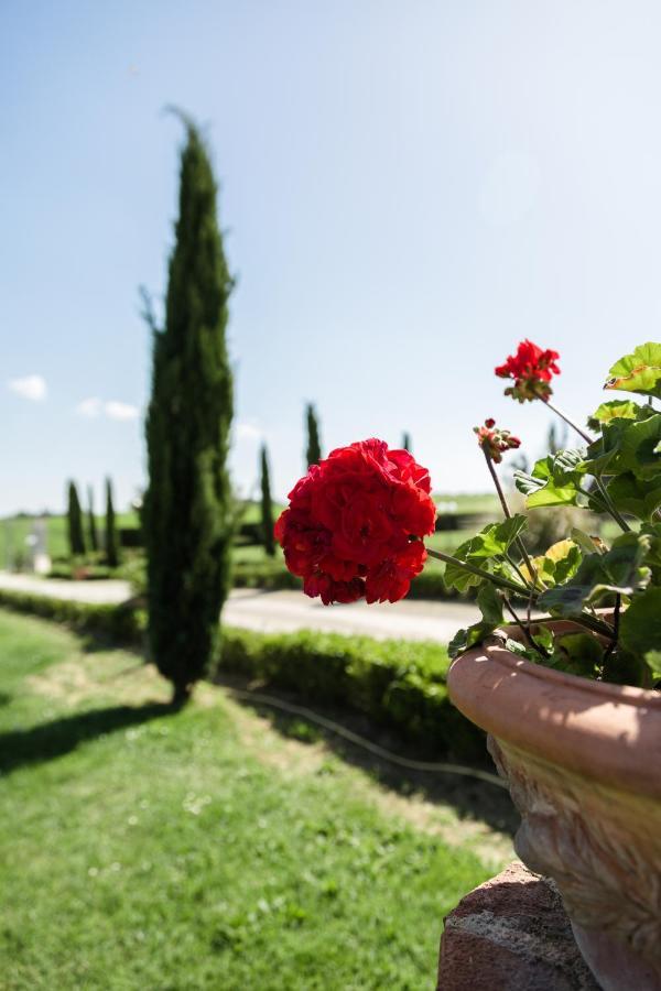 Podere San Giuseppe Castiglione del Lago Dış mekan fotoğraf